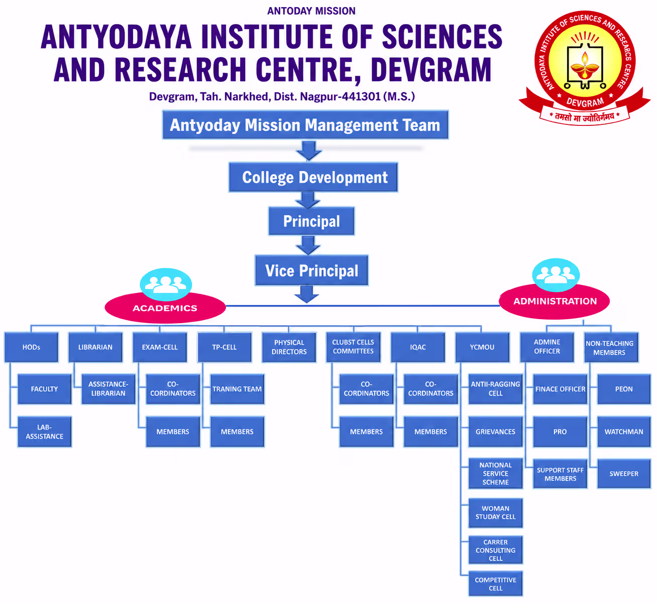 Institutional Organogram Chart
